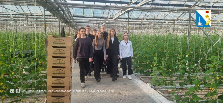 ��������������� ��������� �� ����������� �������� �������� �� ������������������� ������