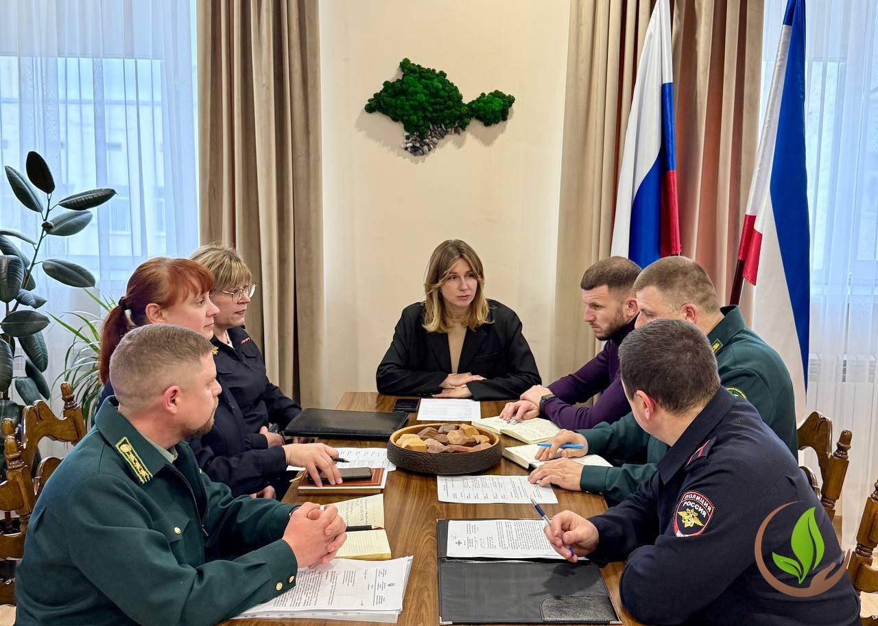 Ольга Шевцова: Новогодняя ёлка — не из леса!