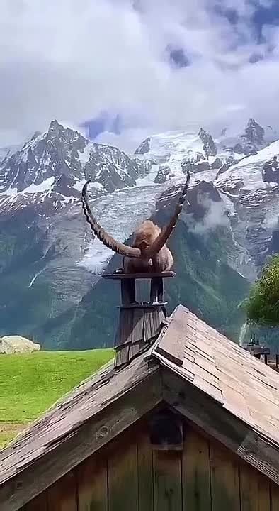 Сергей Колясников: Ошибка россиян №1 – считать Россию скучной страной