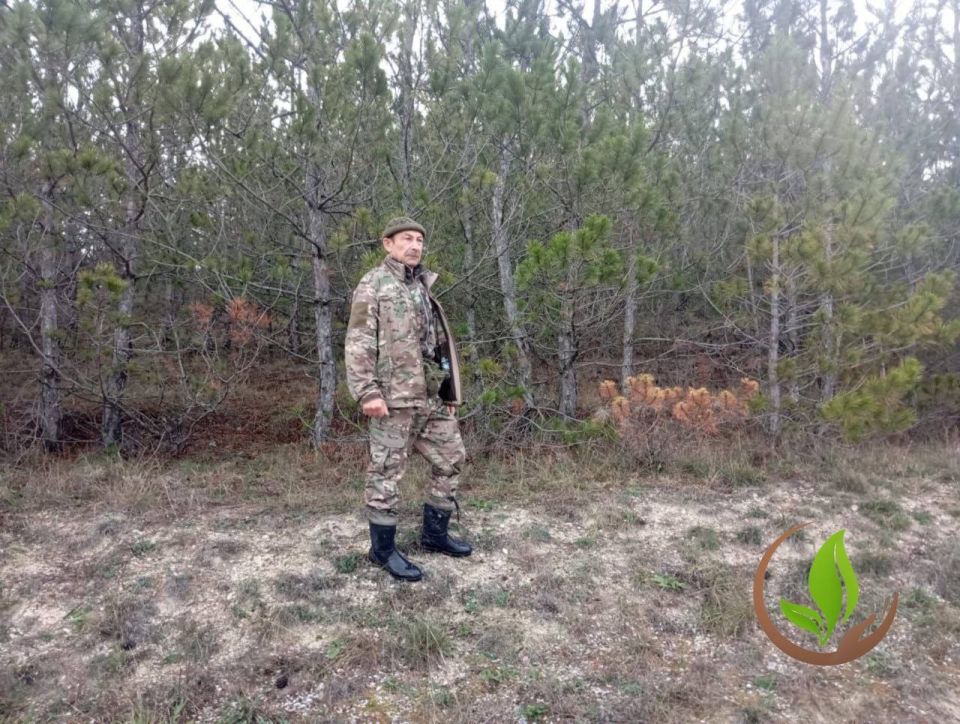 ����� �������: ���������� ���� � �� �� ����!