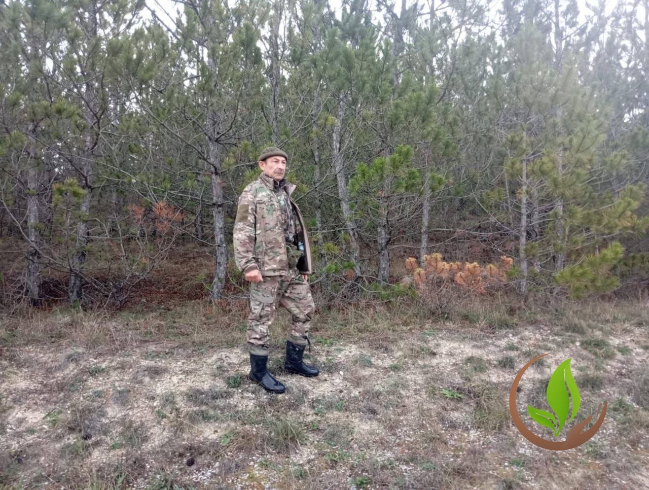 Ольга Шевцова: Новогодняя ёлка — не из леса! Ольга Шевцова: Новогодняя ёлка — не из леса!