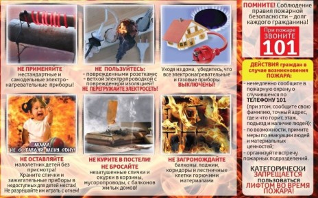    24  (.) 29  2025 .         ..      ,       ,     ...