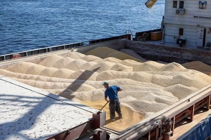        &quot;   &quot;,              (   ),   ...