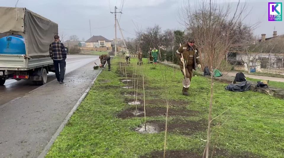Сотрудники Службы городского хозяйства продолжают выполнять сезонные работы в разных районах города