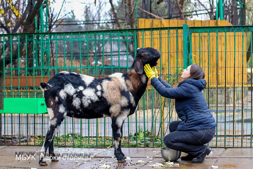 #обитатели_зооуголка. Если вы ещё не знакомы с козликом Кузей из Симферопольского зооуголка, самое время это исправить!