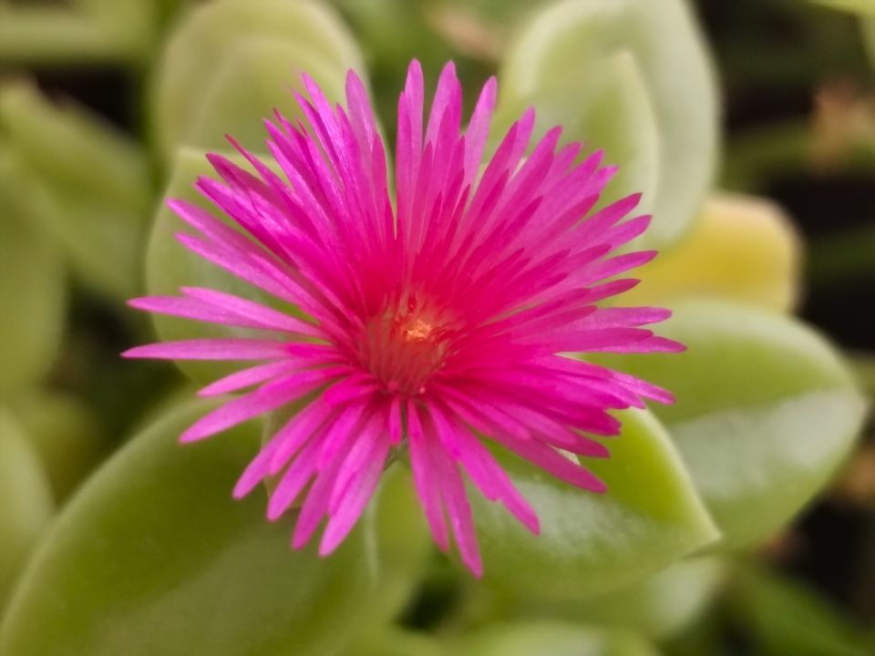 � ������ �����, �������!. ����� ������ ������ �������� ������ ������������� ������ � ������! ������� � �������� ������������ ����������, t + 8 - +10, ����� ������, ��������