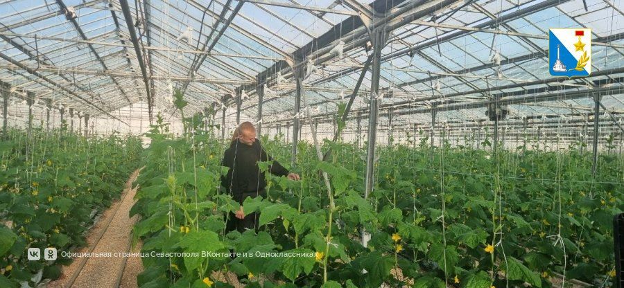 ��������������� ��������� �� ����������� �������� �������� �� ������������������� ������