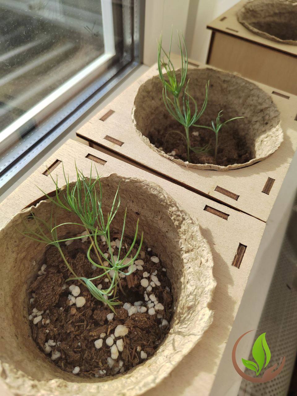 Ольга Шевцова: Они ещё маленькие Но уже сеют будущее Ольга Шевцова: Они ещё маленькие Но уже сеют будущее