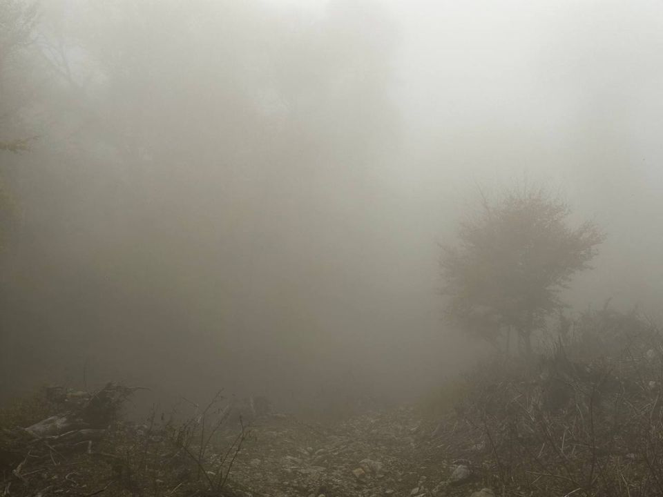 ����� ������� ����������� ���� �����