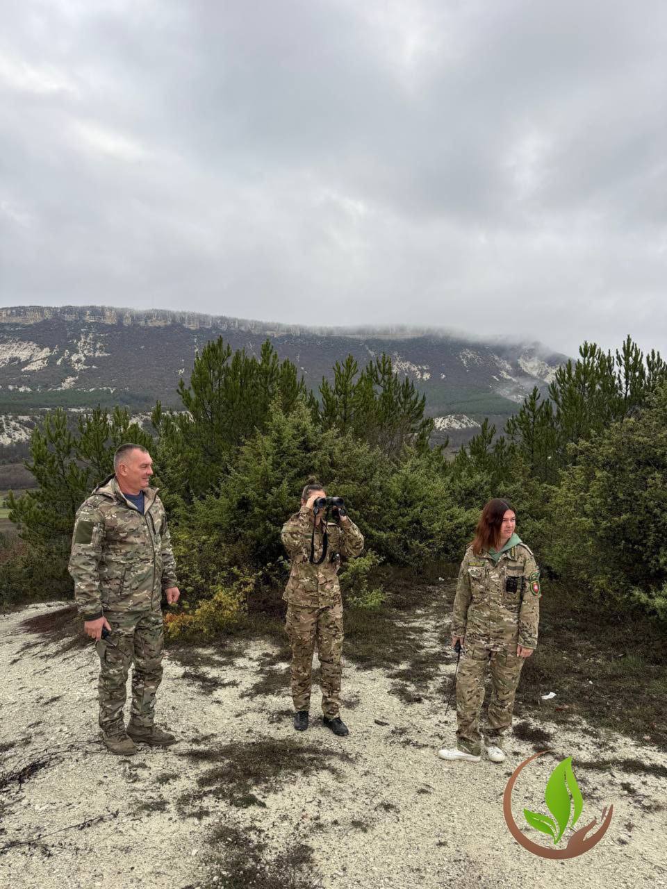 «Новогодняя ёлка — не из леса!»