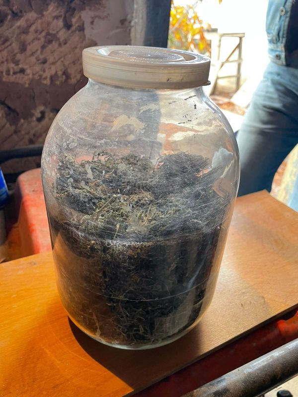 В Сакском районе оперативники изъяли каннабис