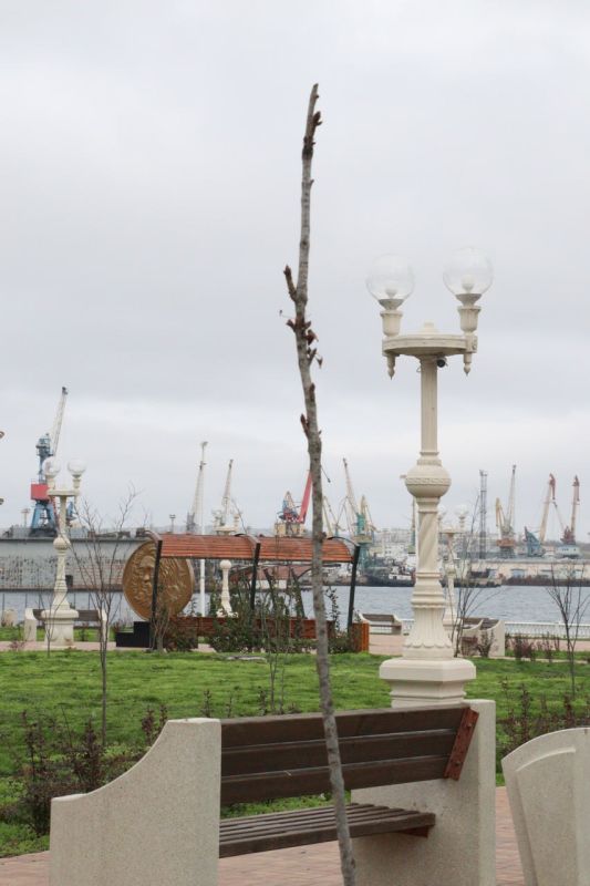 ������� � ������� ��������� ��������� � ������� ����� ��������, ������ � ������ � ������� �����������