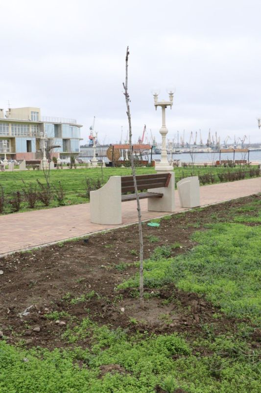 ������� � ������� ��������� ��������� � ������� ����� ��������, ������ � ������ � ������� �����������