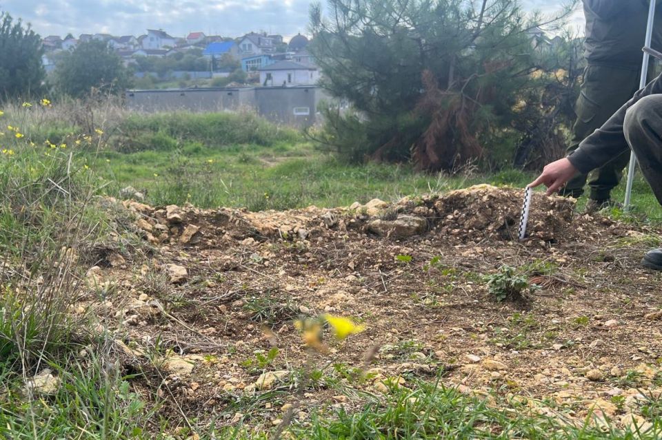 � ����������� ��������� ������ ���������������� �������� � �������� ��������� ����