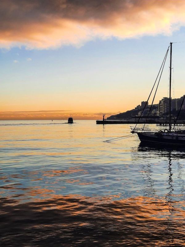 ����������� ���� � ������ �� ������ ����� ����� � ����