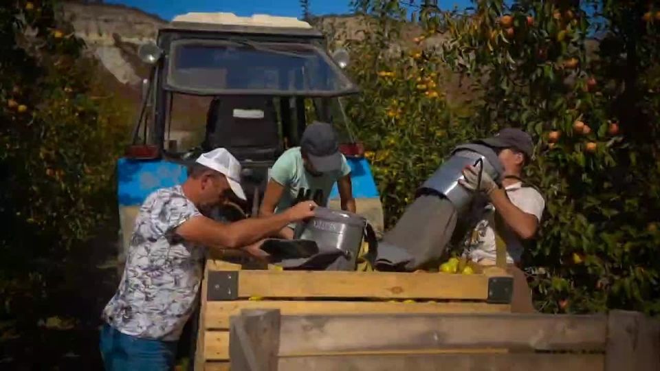 Продукты социальной группы доступны всем категориям граждан