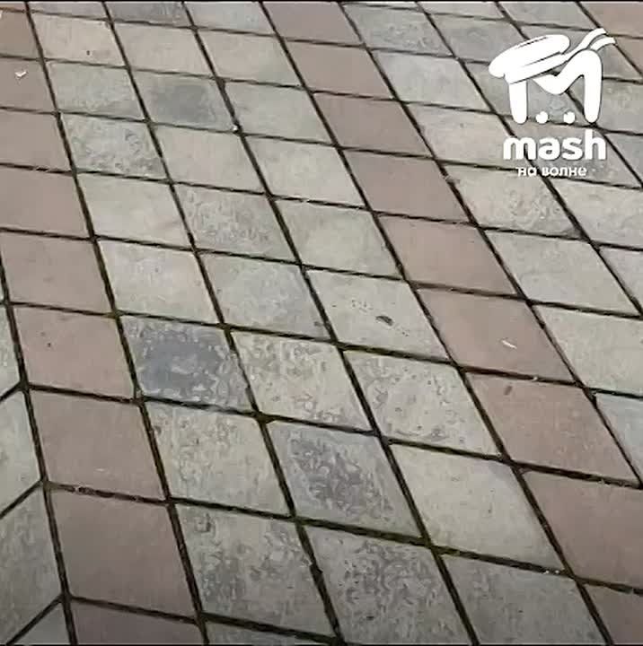 Котёнка из-под капота машины второй день пытаются достать в Феодосии