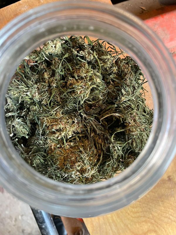 � ������� ������ ������������ ������ ��������