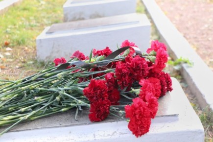  :    !      -        ,       ,       