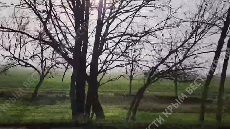 Туман накрыл Симферопольский район и трассу «Таврида»