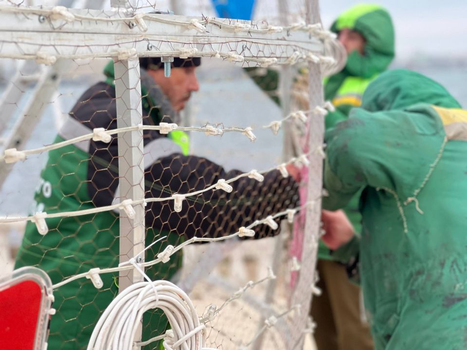 � ����� ������� ������������ ���������� � ������ ����