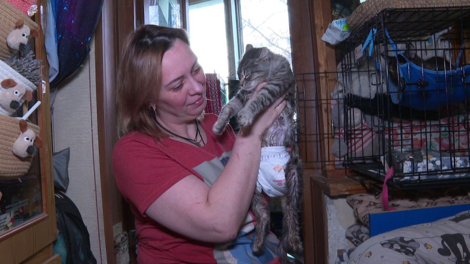 � �������� �������� ���������� �� ����� 60 ��� ������� ��������� 39 ��������