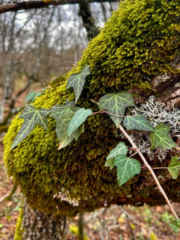 �������� �� ���� � �������������� ������