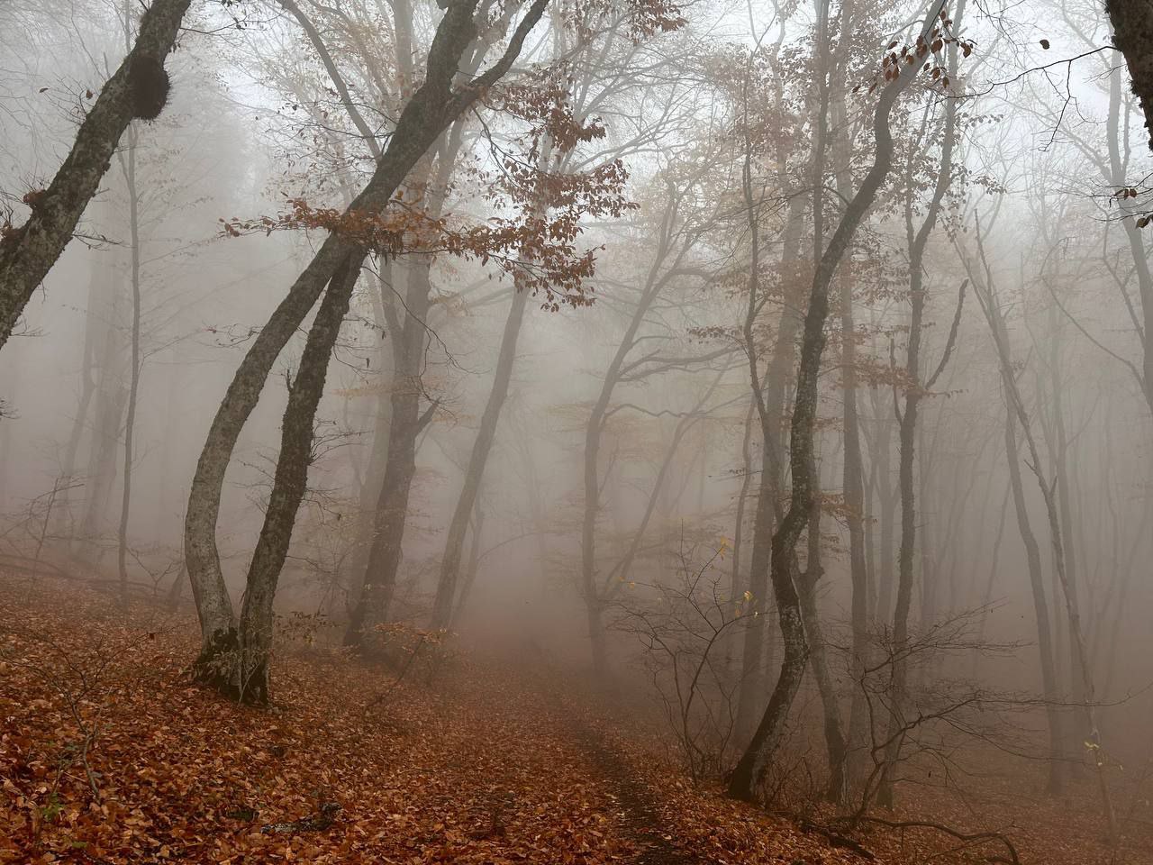 Экстренное предупреждение о неблагоприятных метеоявлениях по Республике Крым на 4 декабря 2025 года
