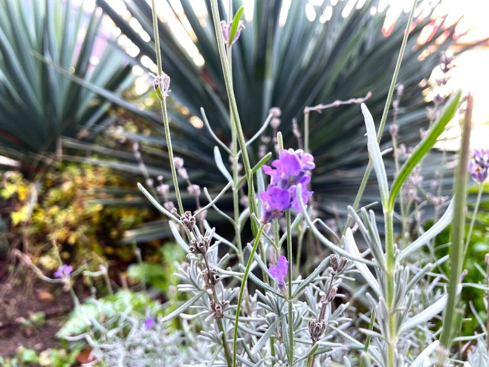 � ������ �����, �������!. ������ ��� �������� � ���� � ������! ������� � �������� ������������ ����������, t + 8 - +10, ����� ������, ���������