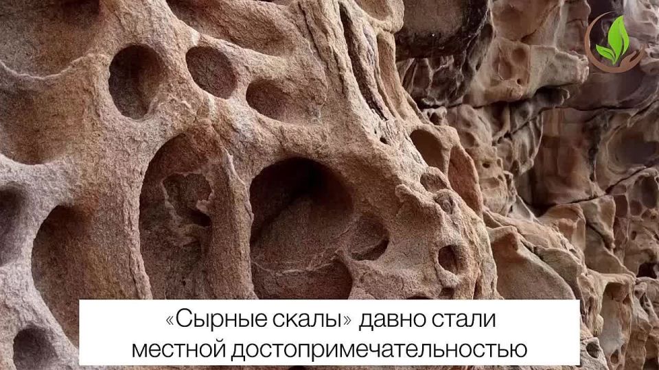 Крымские ООПТ становятся местом, куда хочется вернуться