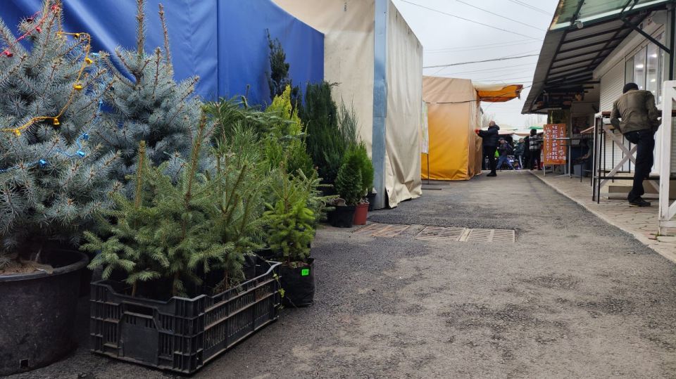 �������� ����� ������ �� ������-������ � ���� ����