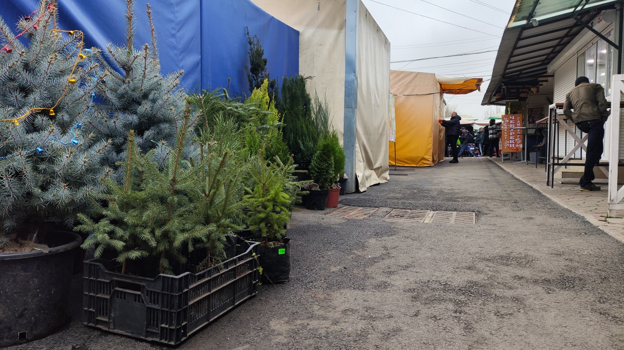 Подводим итоги работы АО «Агора-Сервис» в этом году Подводим итоги работы АО «Агора-Сервис» в этом году