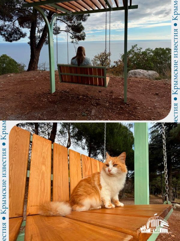 5 подвесных скамеек установят на Солнечной тропе в Ялте