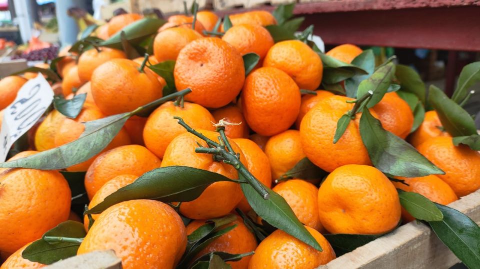 �������� ����� ������ �� ������-������ � ���� ����