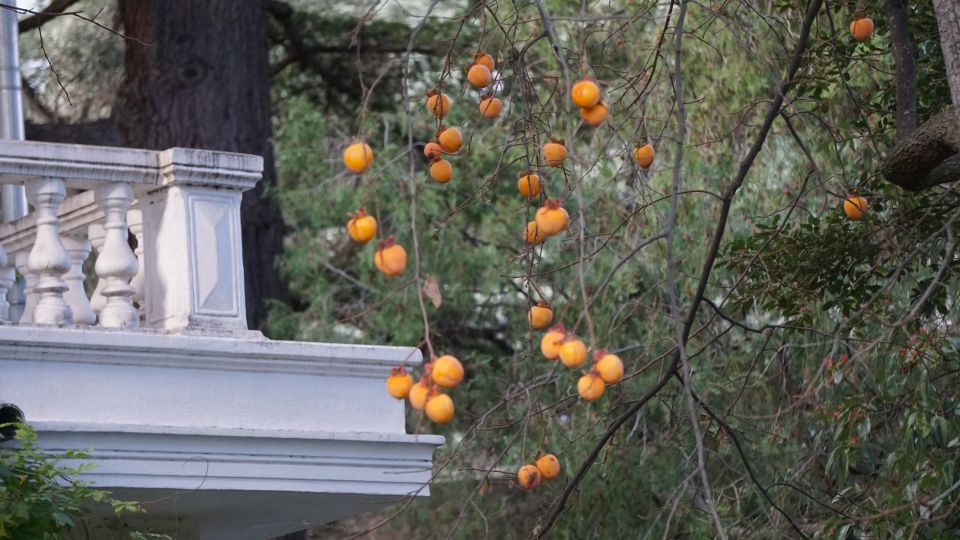 � ���� ����� ���� � ���� ������ ����� �����