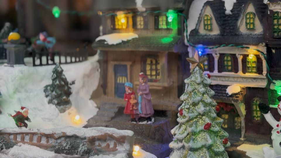 � ����� ������� ������������ ���������� � ������ ����