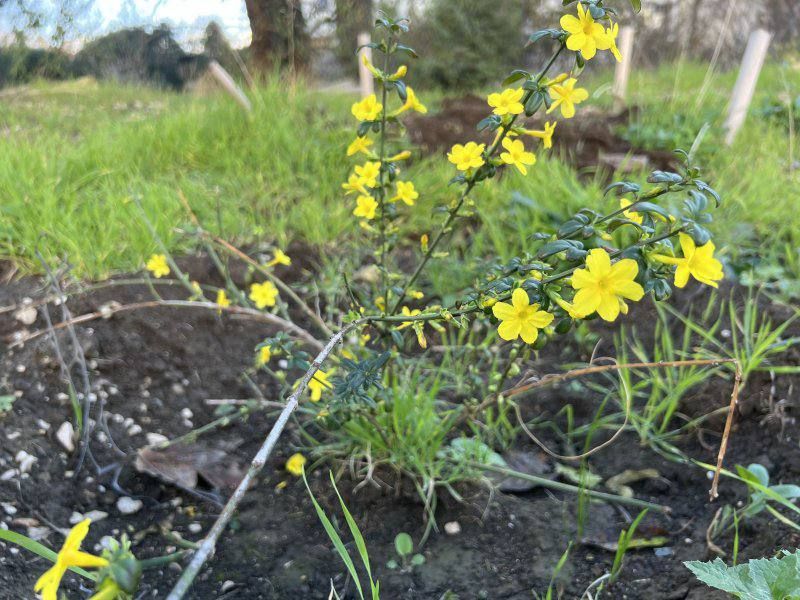 ����� ������� ����� � ������������ �� ����� ��������� �������� ������ �������� ��������