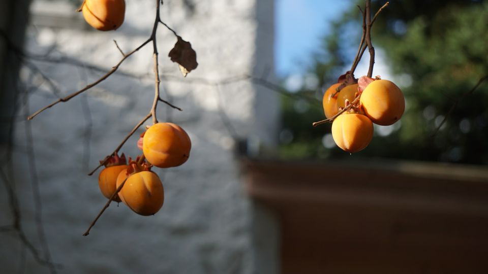 � ���� ����� ���� � ���� ������ ����� �����