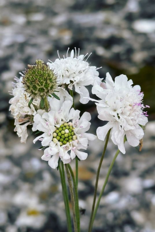 �������� �� ���� � �������������� ������