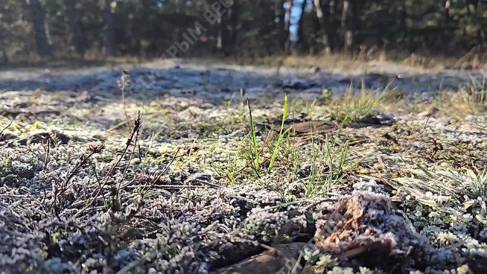 Крым проснулся в серебристом убранстве