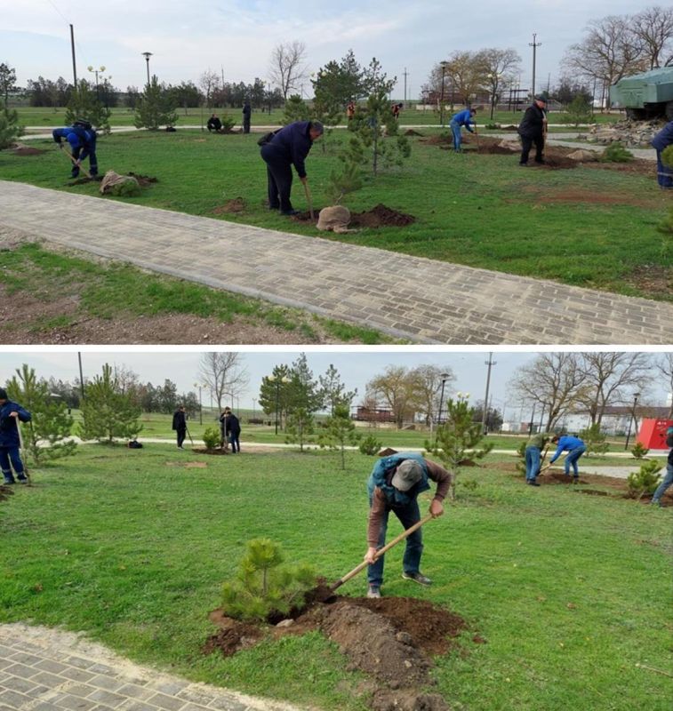 5 декабря - день добровольца 5 декабря - день добровольца