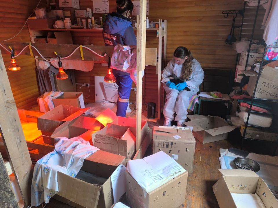 ������ ������: � ���� ����������� (��������), ����� ������ ������!