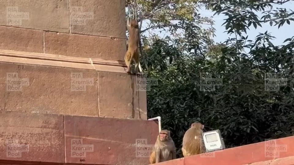 Визит президента РФ в Индию интересует всех