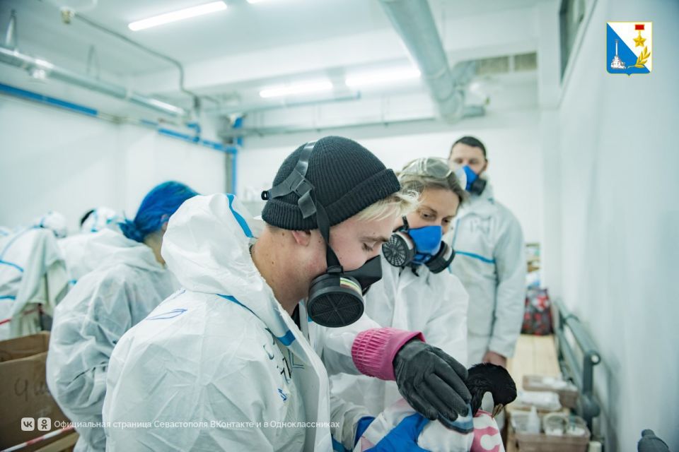 Губернатор Михаил Развожаев поздравил севастопольцев с Днём добровольца Губернатор Михаил Развожаев поздравил севастопольцев с Днём добровольца