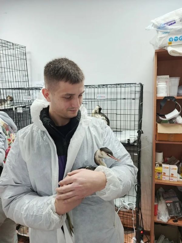 ���� ��������: �������, � ���� �����������, �� ������� ����� ������������� �����, ������� ����������� ������ ��� ����� � �������, ��������� ������ ����, ��� ���� ������� ����� ������ ��� � �������