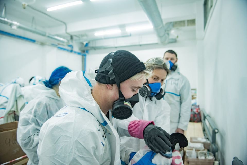 ������ ���������: ������� � ������ ���������� ���� �����������