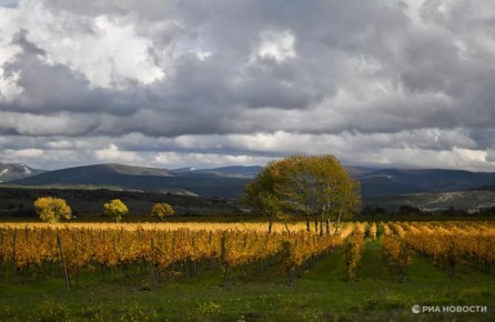 Прогноз погоды в Крыму на пятницу