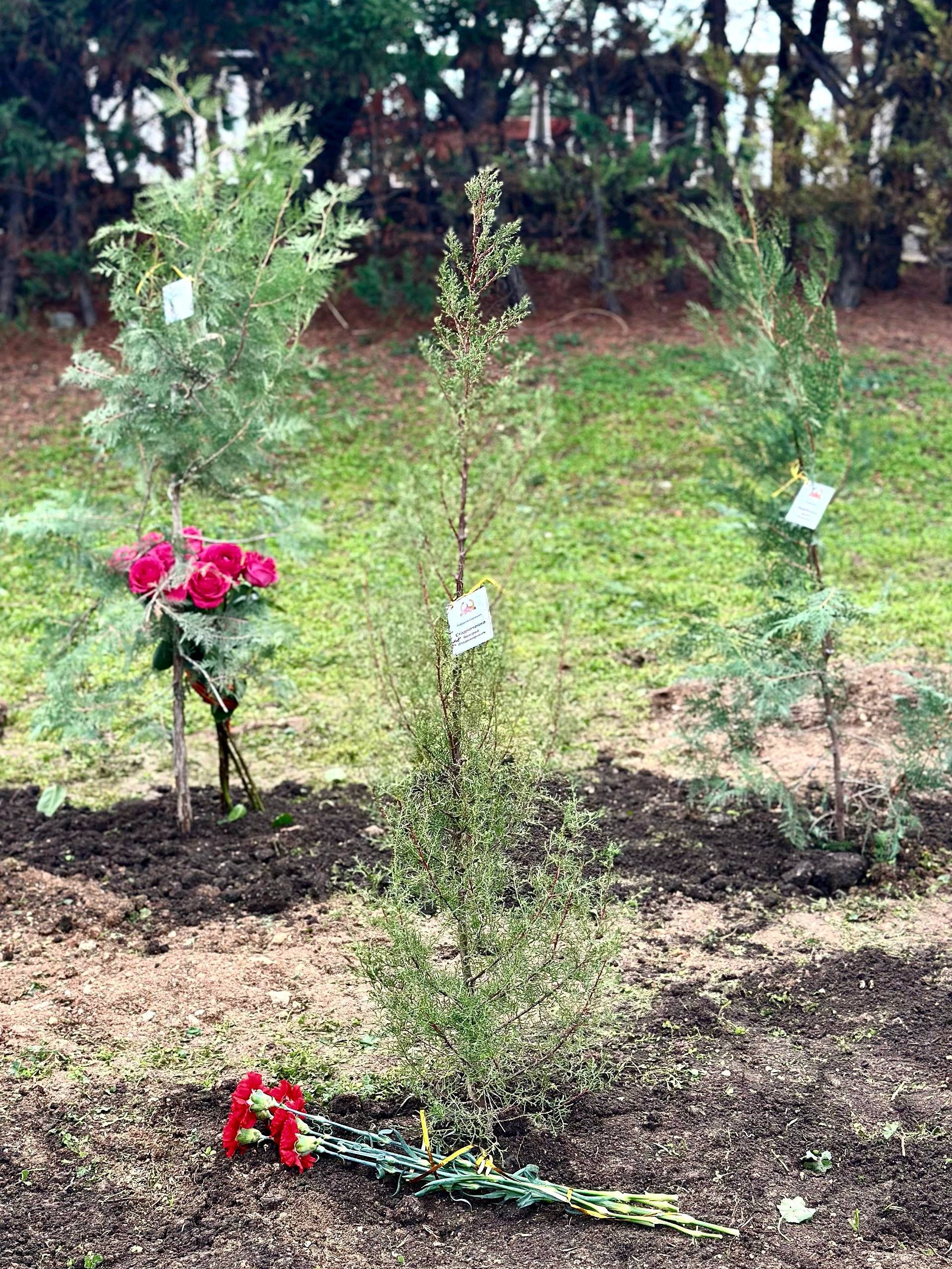 Владимир Немцев: Сегодня на территории Сквера Героев СВО в Парке Победы принял участие в торжественном митинге и высадке деревьев в память о погибших воинах — участниках специальной военной операции Владимир Немцев: Сегодня на территории Сквера Героев СВО в Парке Победы принял участие в торжественном митинге и высадке деревьев в память о погибших воинах — участниках специальной военной операции