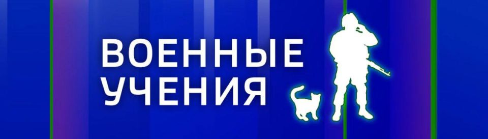 В Севастополе на территории Сквера Героев СВО в Парке Победы высадили деревья в память о героях СВО В Севастополе на территории Сквера Героев СВО в Парке Победы высадили деревья в память о героях СВО