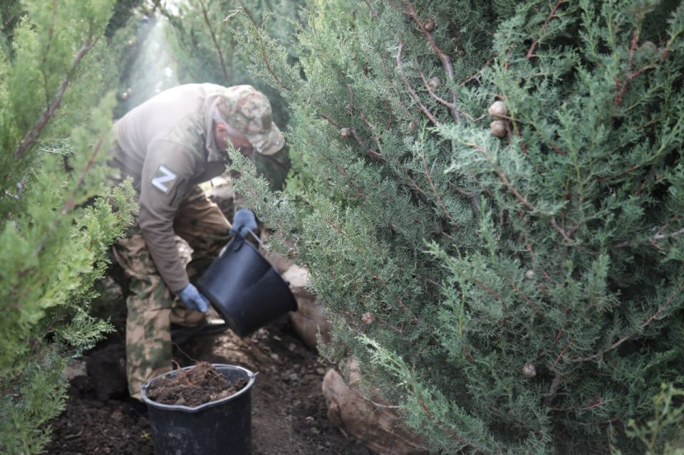 ������ ������: � ���� ������ ������� ���������� ��������, � ���������� ��� ������ ���������, �� ����� ������ ������ ������ � ������ �����